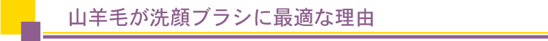 山羊毛が洗顔ブラシに最適な理由