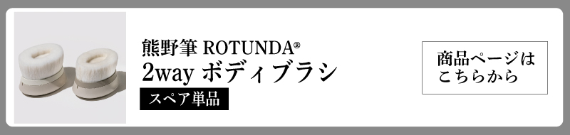 ROTUNDA2Wayボディブラシスペア