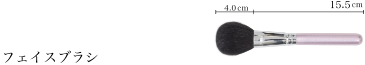 フェイスブラシ