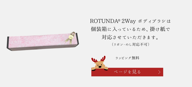 クリスマス2wayラッピング